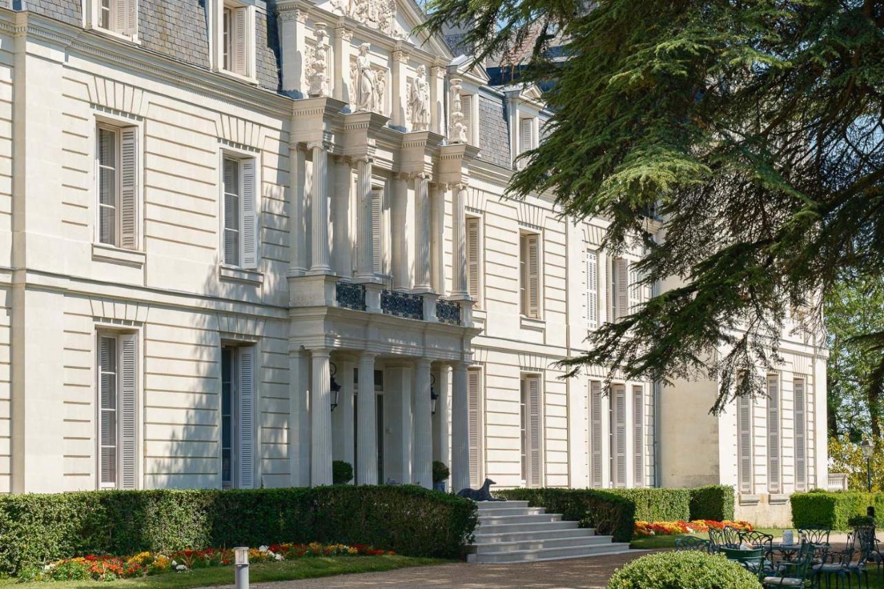 Chateau De Rochecotte Saint-Patrice Dış mekan fotoğraf